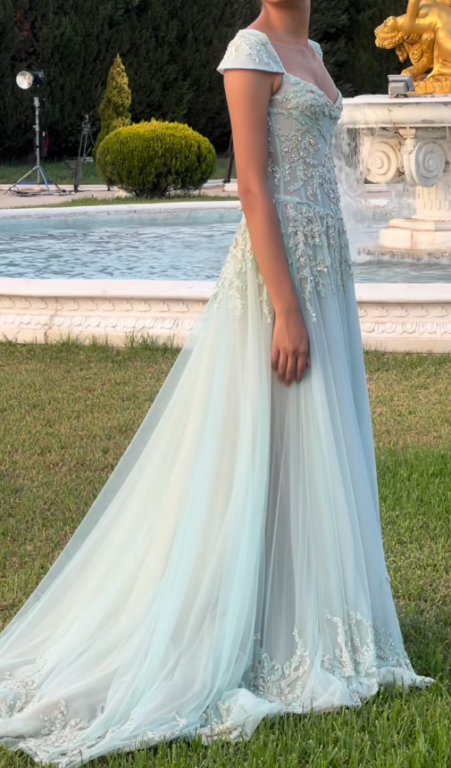 Baby Blue A Line Dress Wedding Guest Dress Exquisite Beaded Tulle Prom Outfit