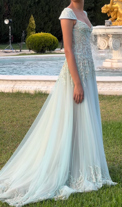 Baby Blue A Line Dress Wedding Guest Dress Exquisite Beaded Tulle Prom Outfit