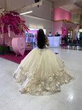 Champagne Quince Dress with Flowers Sweet 16 Dresses Off the Shoulder Ball Gown