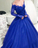 Elegant Tulle Quinceanera Dresses Ball Gowns Lace Long Sleeves