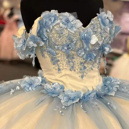 Ball Gowns Quinceanera Dress Appliques Flowers Party Princess Sweet 16 Gown Vestidos De 15 Años