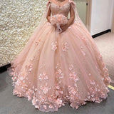 Elegant Pink Quinceanera Dress,Princess Ball Gown Sweet 16 Dresses